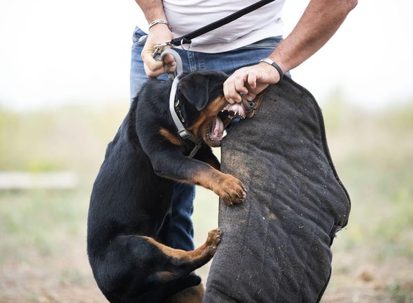Créer une aire de jeux sécurisée : les avantages d'un revêtement anti-dérapant